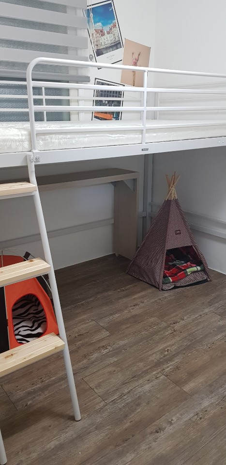 07f6abba3101e28b3c264a43c3d1c0bb_1609525347_251.jpeg 07f6abba3101e28b3c264a43c3d1c0bb_1609525347_251.jpeg