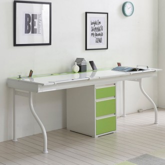 레이각도조절2인책상(핑크/그린/애쉬)